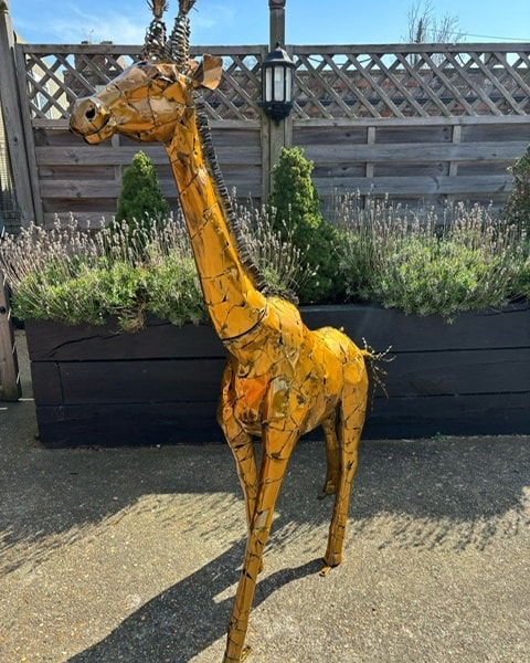 Animals3
